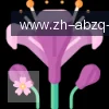 安博体育 logo